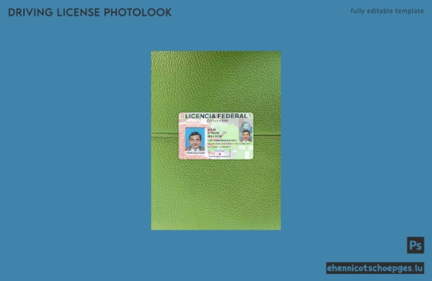 Beispielvorschau für das Foto des mexikanischen Führerscheins